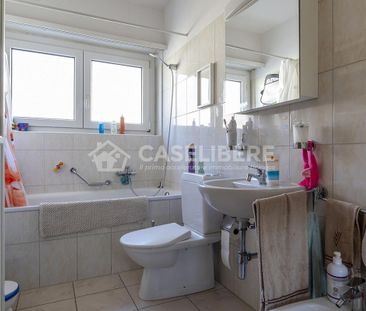 WIDE 4.5 A SEMENTINA - Photo 6