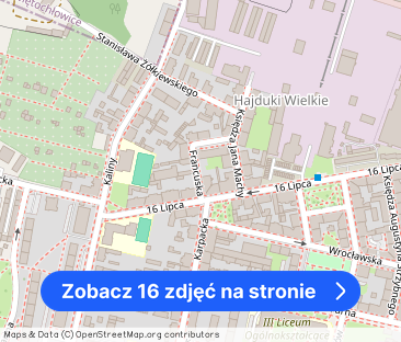 Wynajmę klimatyczne mieszkanie ze wspólnym ogrodem - Zdjęcie 1