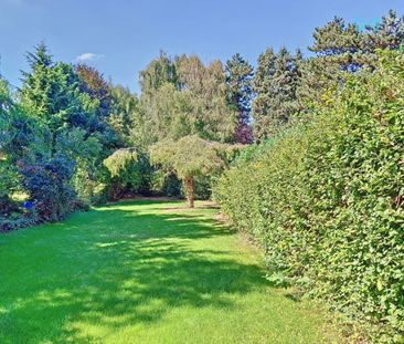 Huis te huur - Foto 6