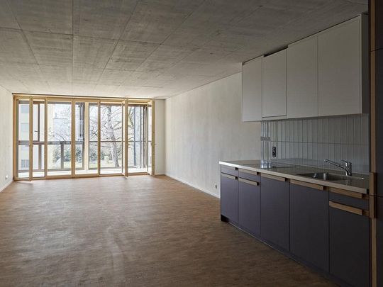 Modernes Wohnen im schönen Pfäffikon ZH - Foto 1