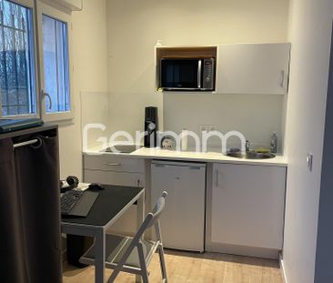 Location Appartement 1 pièce 17,99 m² - Photo 3