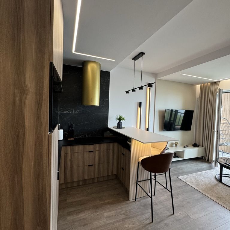 apartament nad jeziorem Dąbskim z miejscem parking - Zdjęcie 1