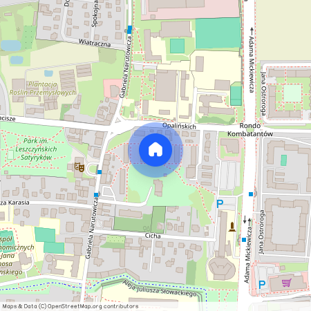 ul. Opalińskich, Leszno, wielkopolskie