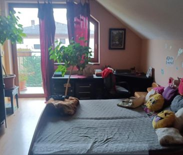 Pronájem bytu pokoj 18 m2 - Photo 1