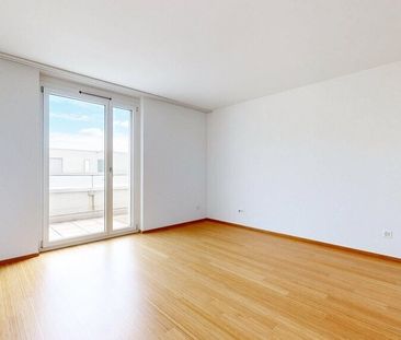 Summer is surely coming next year - Photo 5