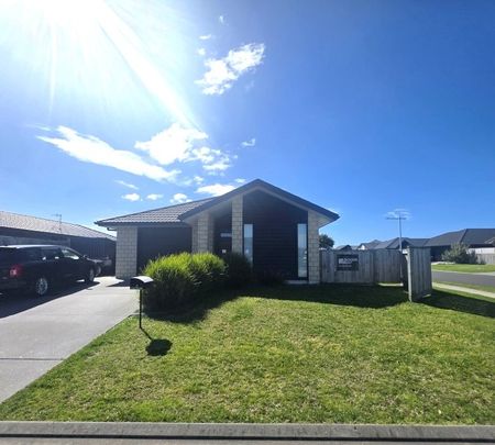 Fun on Furlong - Papamoa - Photo 4