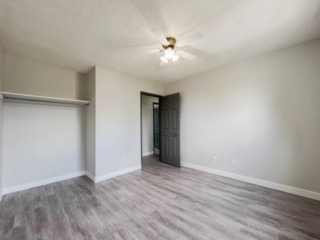 3 Bed Townhome With Finished Basement & Yard | Pet Friendly - Photo 5