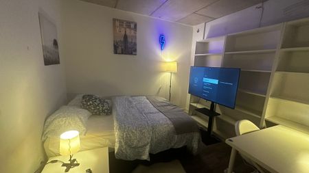 Flex Basic Room - Dominik - Photo 4