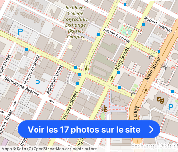 Primrose: Black Accents – 1800 Leila, Winnipeg, MB - Photo 1