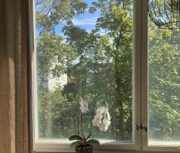 Doktor Forselius Backe, Göteborg - Photo 3