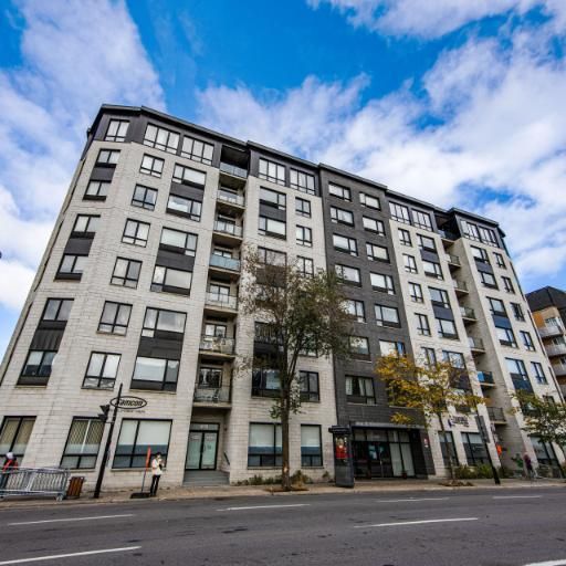 3 1/2 - Montréal (Ville-Marie (Centre-ville)) - 1 600 $/mois - Photo 1