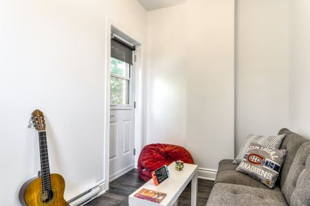 Condo for rent, Montréal (Le Plateau-Mont-Royal) - Photo 3