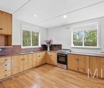 Freshly Updated Home - Photo 4