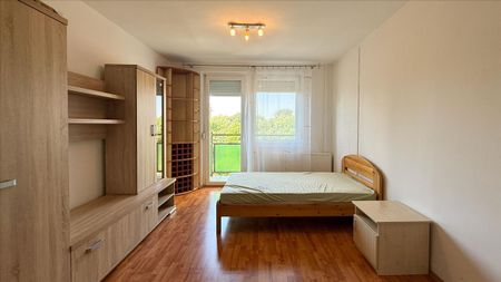 Kiadó felújított panel lakás - Debrecen - Photo 3