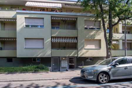 Basel, Nähe Grenze Allschwil - 4-Zimmer-Dachwohnung mit 2 Dachterrassen (ideal für 1-2 Personen) - Photo 2