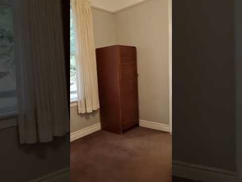 Bush-surrounded 2 bed flat in Aro Valley - Photo 1