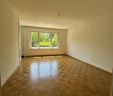 Gemütliche 1.5-Zimmerwohnung in Zürich - Foto 1