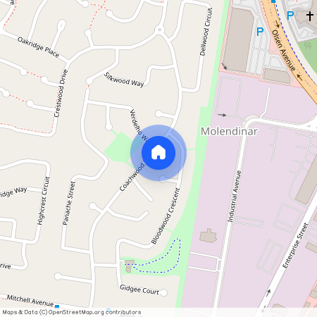 45 Coachwood Drive, Qld 4214, Molendinar