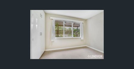 Renovated & Light-Filled - Photo 4