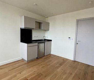 Location Appartement 1 pièce 38m² MULHOUSE 68200 - Photo 2