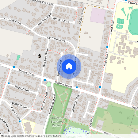 8 Ash Tree Drive, NSW 2350, Armidale