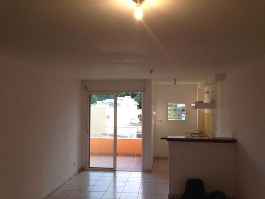 Appartement Sainte-Clotilde - Photo 1