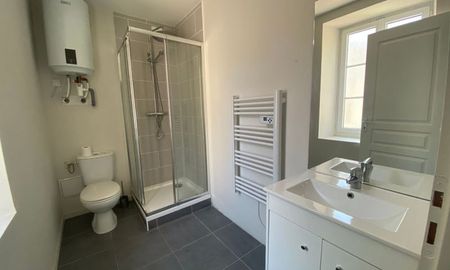 Location Appartement 1 pièce LIMOGES (87000) - Photo 5