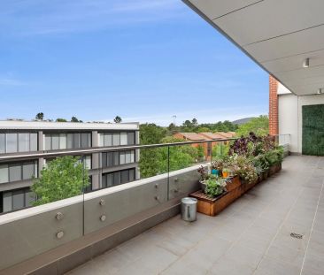 Unit 24/19 Leichhardt Street, Kingston. - Photo 4