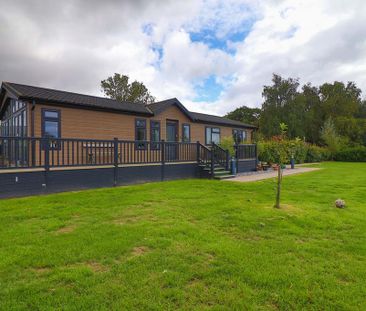 3 bedroom park home to rent - Photo 5