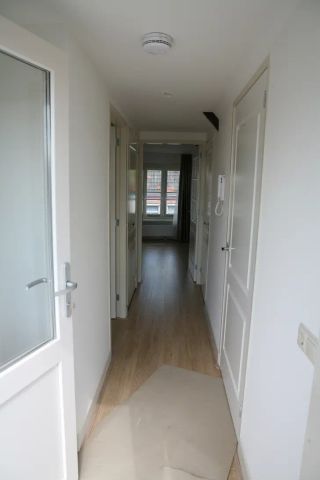 Arminiaanse Glop 4 - Photo 5