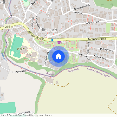 5018, Erlinsbach, Bläuenstrasse, 10c