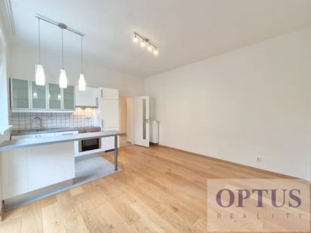 P4 Podolí, ul. Levá, nadstandardní nezař. byt 2 + k. k., 46 m - Photo 3