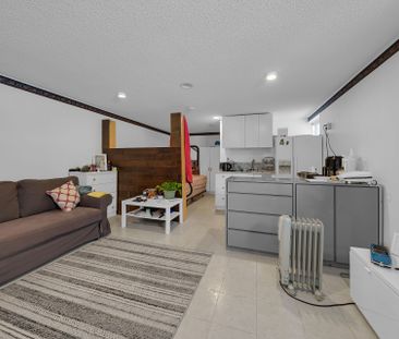 For Lease - 386 Ellerslie Avenue Unit# Bsmnt A, Toronto, Ontario - Photo 2