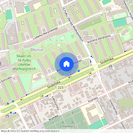 ul. Romana Dmowskiego, Bydgoszcz, Błonie