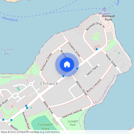 29 Blackwall Point Road, NSW 2046, Chiswick