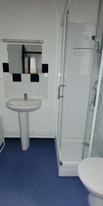 Location Appartement 1 pièce 19m² LILLE 59000 - Photo 4