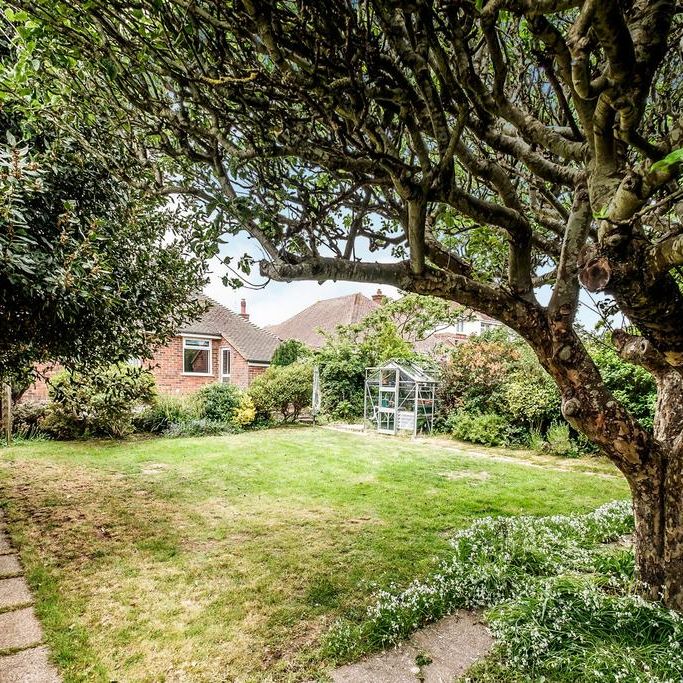 3 bedroom bungalow to rent - Photo 1