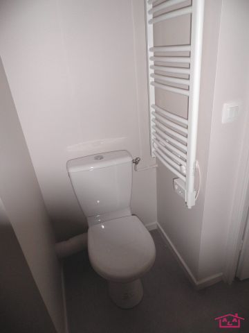 Location Appartement 1 pièce 18m² GRENOBLE 38000 - Photo 4