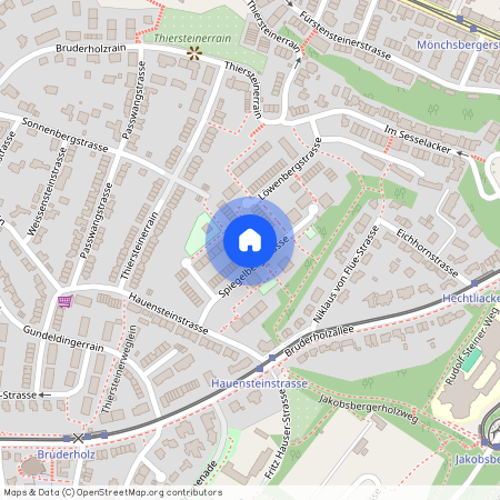 Spiegelbergstrasse 29, 4059, Basel