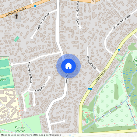 50A Koraha Street, Remuera, Auckland City