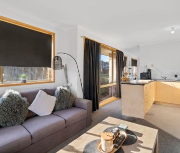 Family Friendly - Photo 3