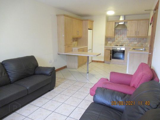 Unit 7, 50-52 Cromwell Road, Belfast, BT7 1NE - Photo 1