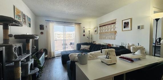 Appartement 4 ½ à louer Sainte-Foy / Sillery juillet 2026 - Photo 2