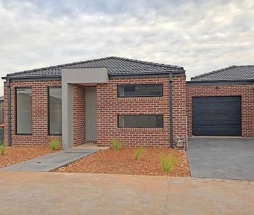 CIDER CHARM - Photo 3