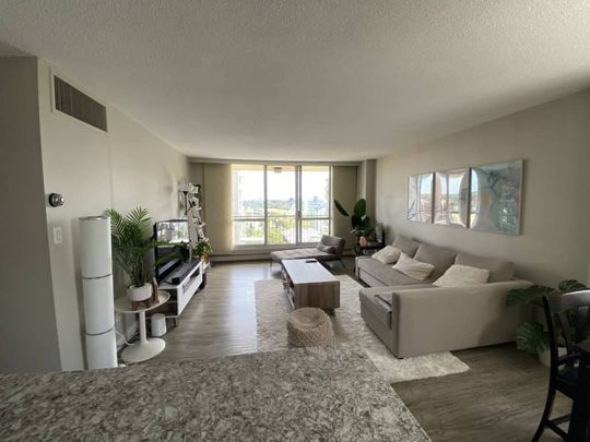 Edmonton Unfurnished Condo Rental in Downtown - Beautiful 2 bedroom in Hillside Estates! - Photo 1