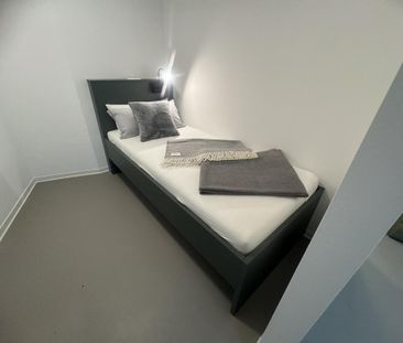 Suite Plus 1.31 - Photo 1