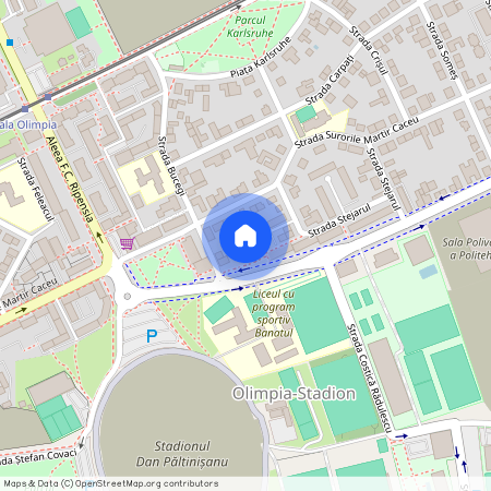 8, Strada Bradul, Olimpia-Stadion, Timișoara, Timiș, 300584, România, Olimpia-Stadion