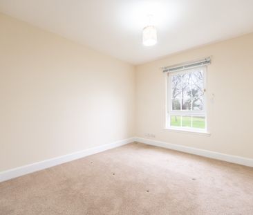 Braid Avenue - Photo 6