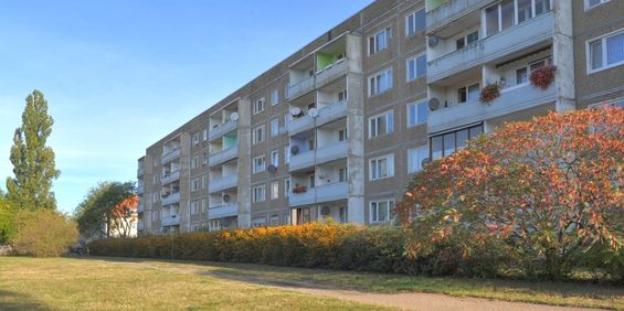 ideale Singlewohnung zur Selbstrenovierung - Foto 3