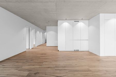 First-time rental: Large areas, living with plenty of space - Photo 3